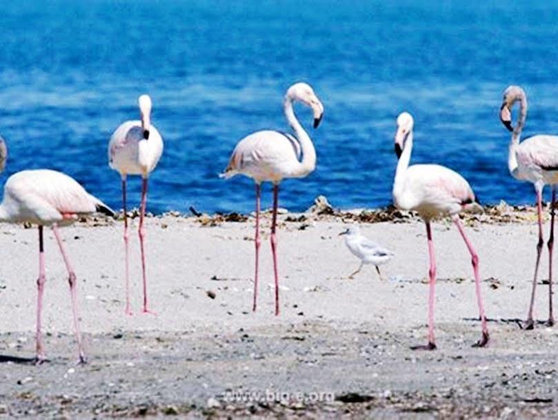 Masira Island Resort Hilf Zewnętrze zdjęcie